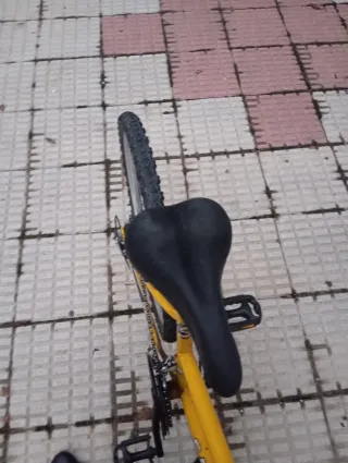 Bicicleta Catalina Amarilla