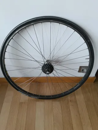 Rodillo Ciclismo LIFESPORT + Rueda