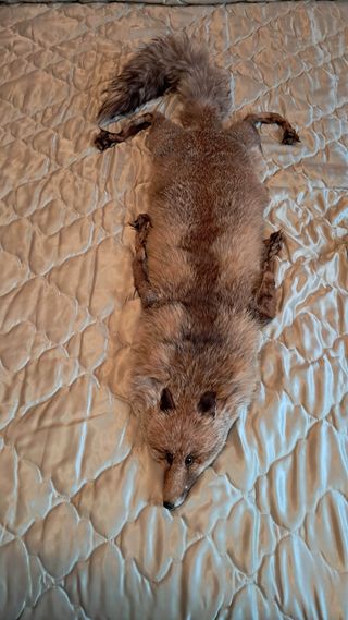 ESTOLA VINTAGE PIEL DE ZORRO AUTÉNTICO, IMPECABLE