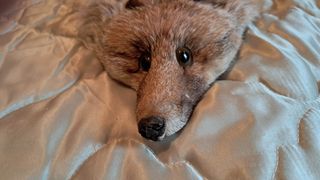 ESTOLA VINTAGE PIEL DE ZORRO AUTÉNTICO, IMPECABLE