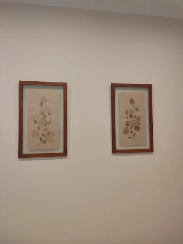 Conjunto 2 cuadros papiro flores secas