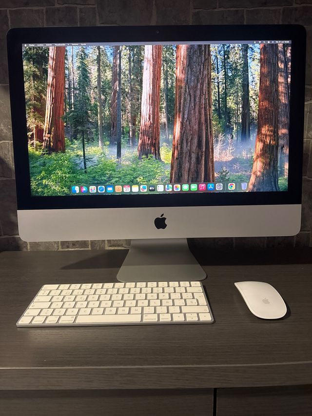 iMac 21,5” 2019   24 GB