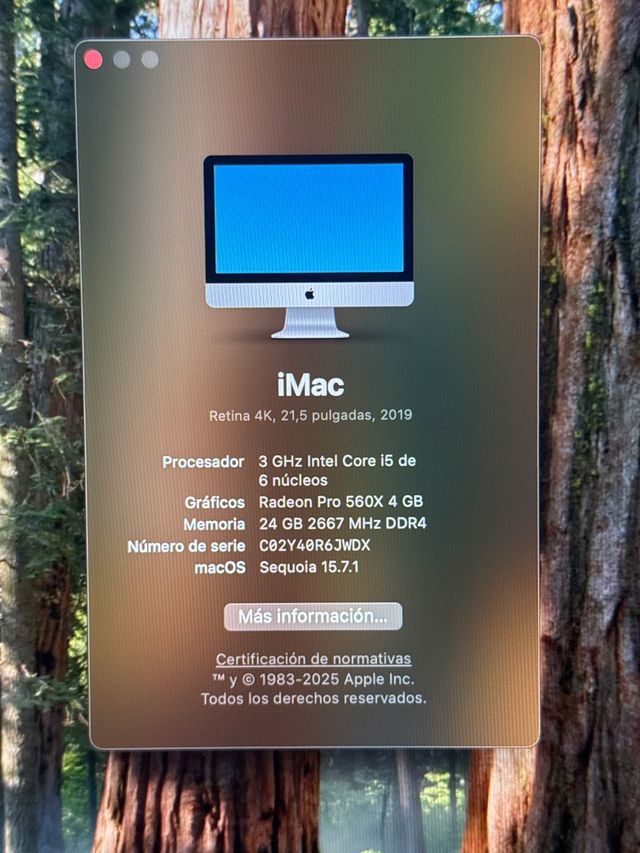 iMac 21,5” 2019   24 GB