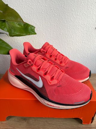 Nike Air Zoom Pegasus 41