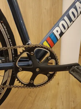 Bicicleta Polo&bike Williamsburg