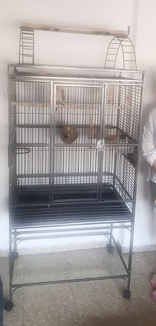 Jaula Grande Pájaros 1.80-2.00m Accesorios