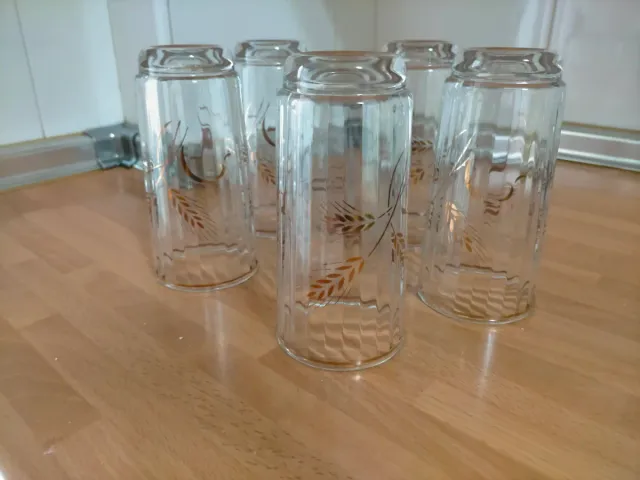 4 Vasos Caña Grabado Espiga Dorado