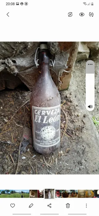 Bottiglie di Birra Antica El León