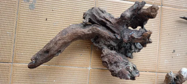 Madera y troncos para acuarios y terrarios!