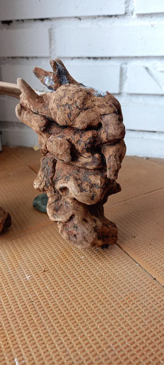 Madera y troncos para acuarios y terrarios!