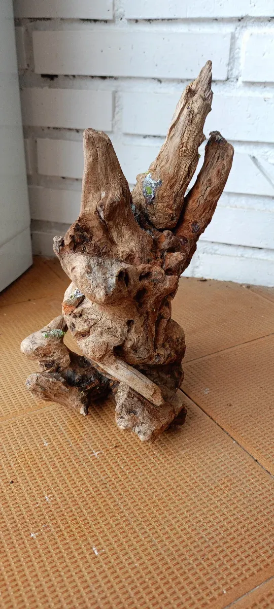 Madera y troncos para acuarios y terrarios!