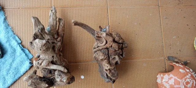 Madera y troncos para acuarios y terrarios!