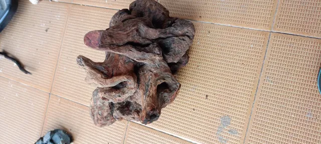 Madera y troncos para acuarios y terrarios!