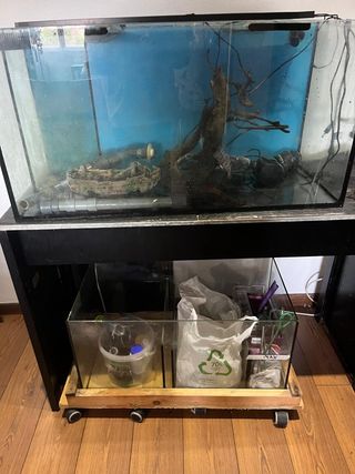 Pecera 200L con sump,  mueble y accesorios