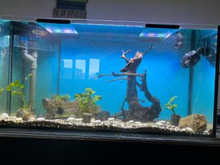 Pecera 200L con sump,  mueble y accesorios