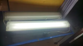 Pantalla Estanca Tungsram 2x20W Industrial