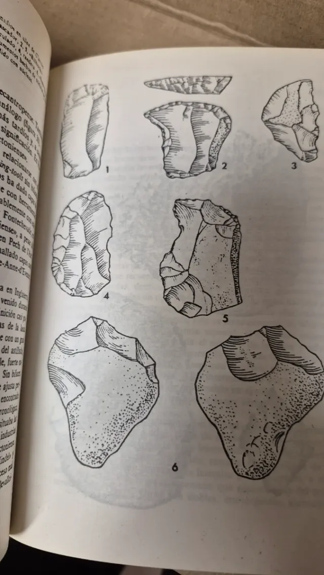 El mundo del hombre cuaternario