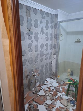 Albañil profesional hace reformas integrales