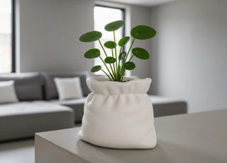 vaso a forma di sacco