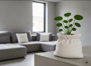 vaso a forma di sacco