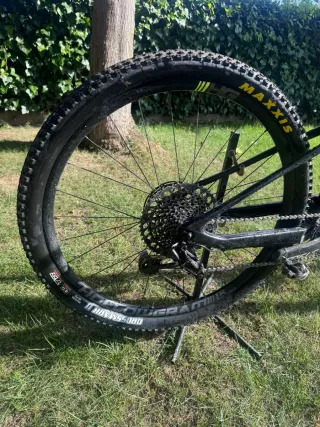 SCALPELLO CANNONDALE 29"