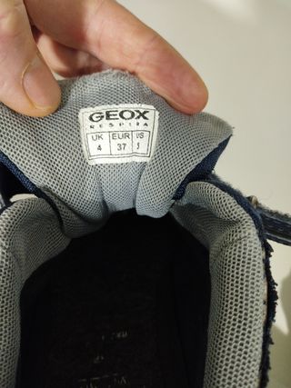 Zapatillas Geox Amphibiox Niños