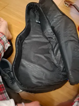 Funda guitarra Ritter