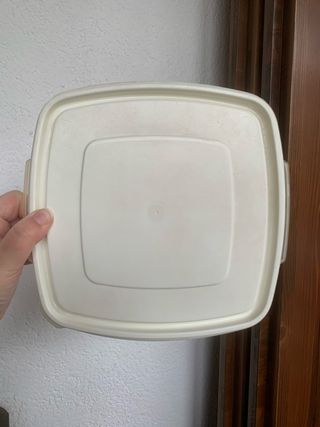 Contenitore Rubbermaid in plastica