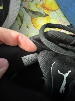 Scarpe Puma Uomo Taglia 41