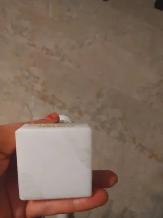 Figura Virgen del Pilar Zaragoza 19 cm