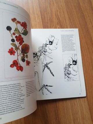 Enciclopedia de tecnicas de dibujo