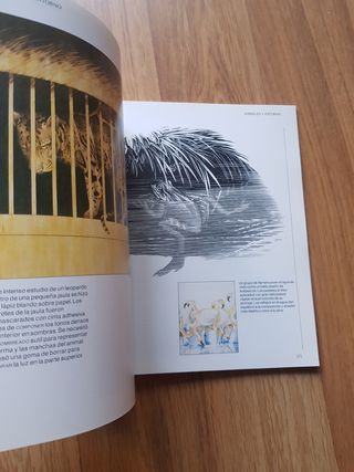 Enciclopedia de tecnicas de dibujo