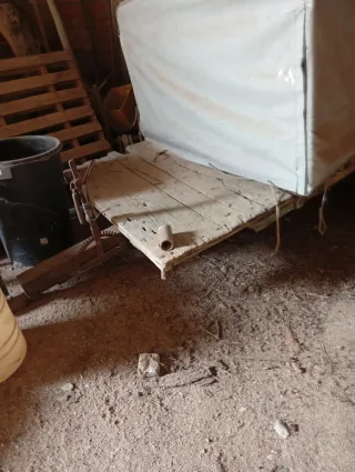 Pascuali 991e con desbrozadora, arado y remolque