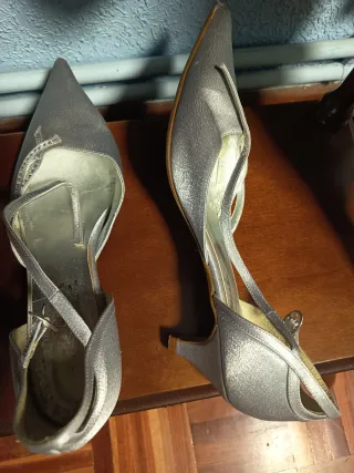 Zapatos de fiesta plateados