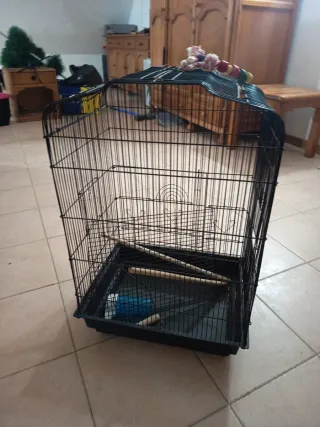 Jaula para loros negra y multicolor