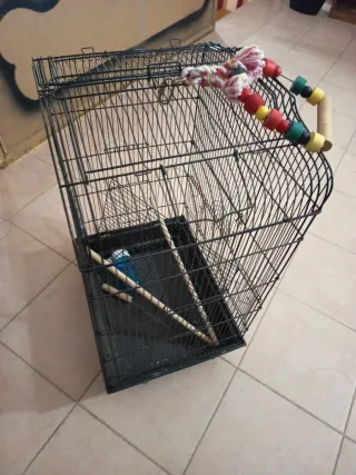 Jaula para loros negra y multicolor
