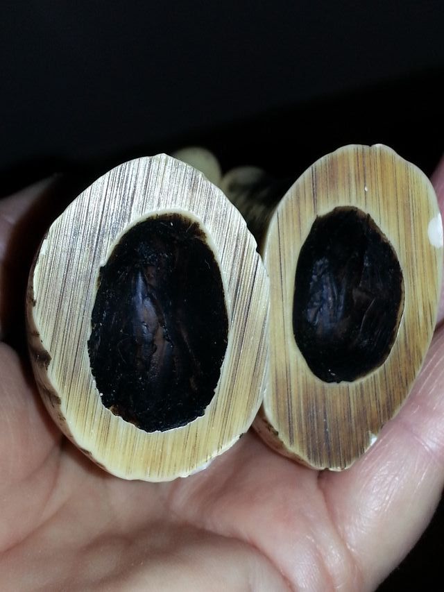 Scrimshaw su Dente di Balena artificiale