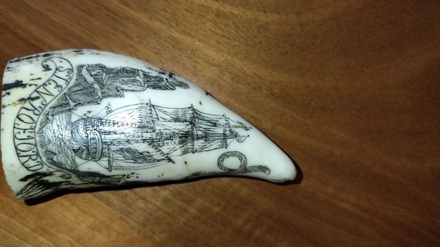 Scrimshaw su Dente di Balena artificiale