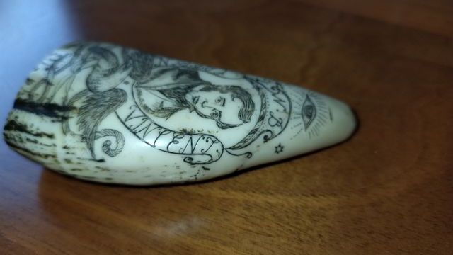 Scrimshaw su Dente di Balena artificiale