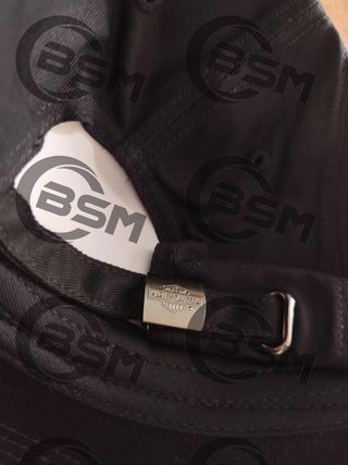 Cappellino Harley Davidson 120th ali