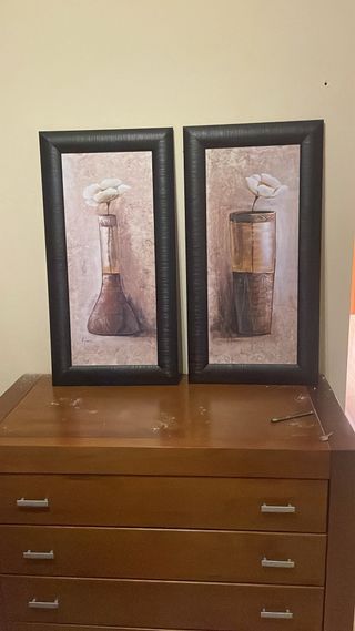 Juego de 2 cuadros decorativos florales