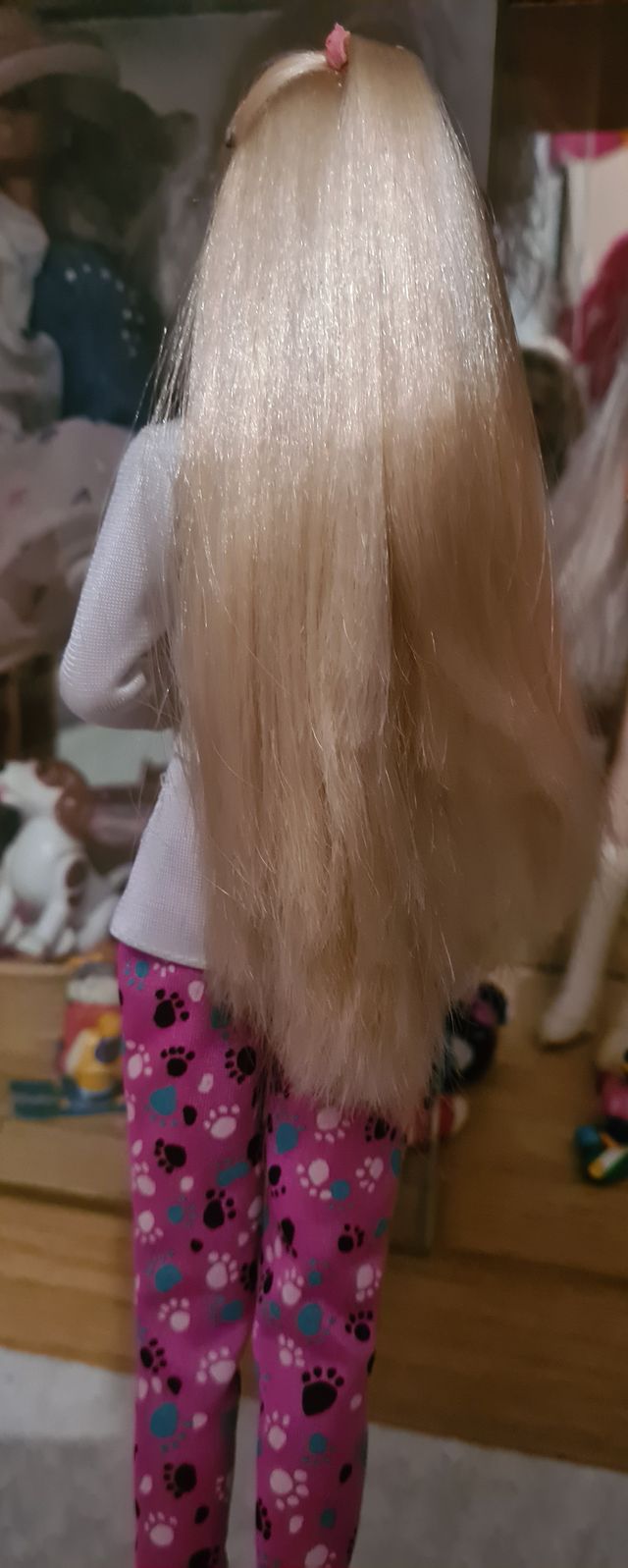 Barbie veterinaria con ropa de gatitos