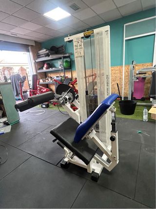 Technogym SILVER Femoral Sentado