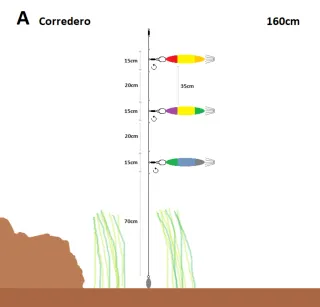 5 Montajes de Pesca Calamar
