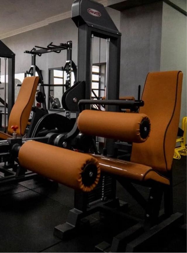 Máquina Femoral Sentado PANATTA