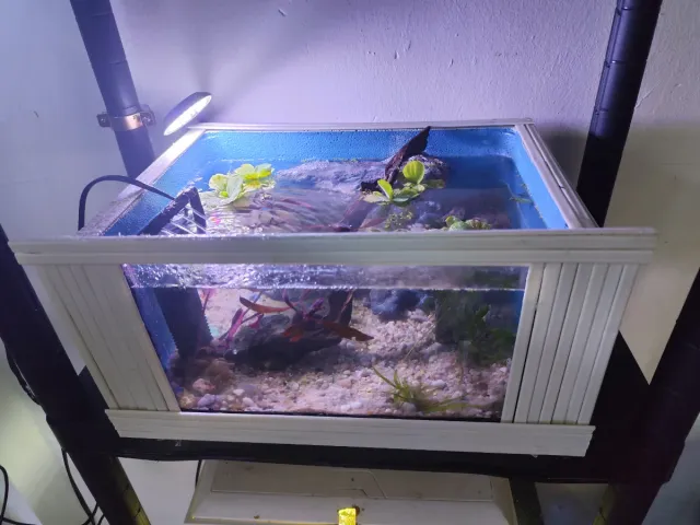 Acuario con filtro blanco con luz led