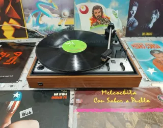 Tocadiscos Dual 1225