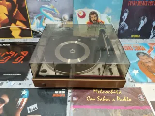Tocadiscos Dual 1225