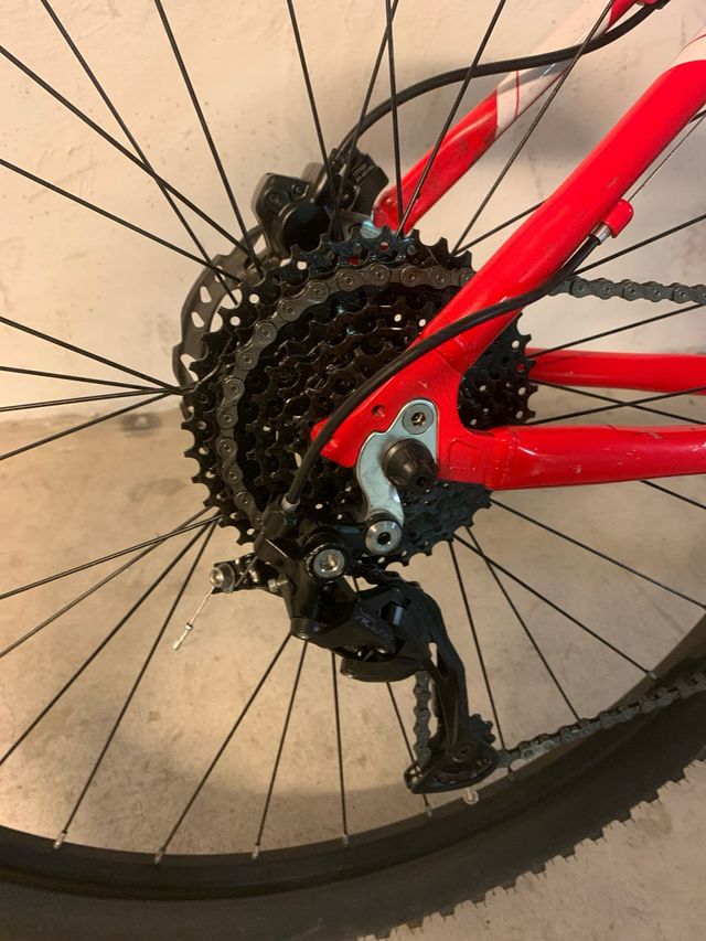 Bicicletta mtb Trek 29”