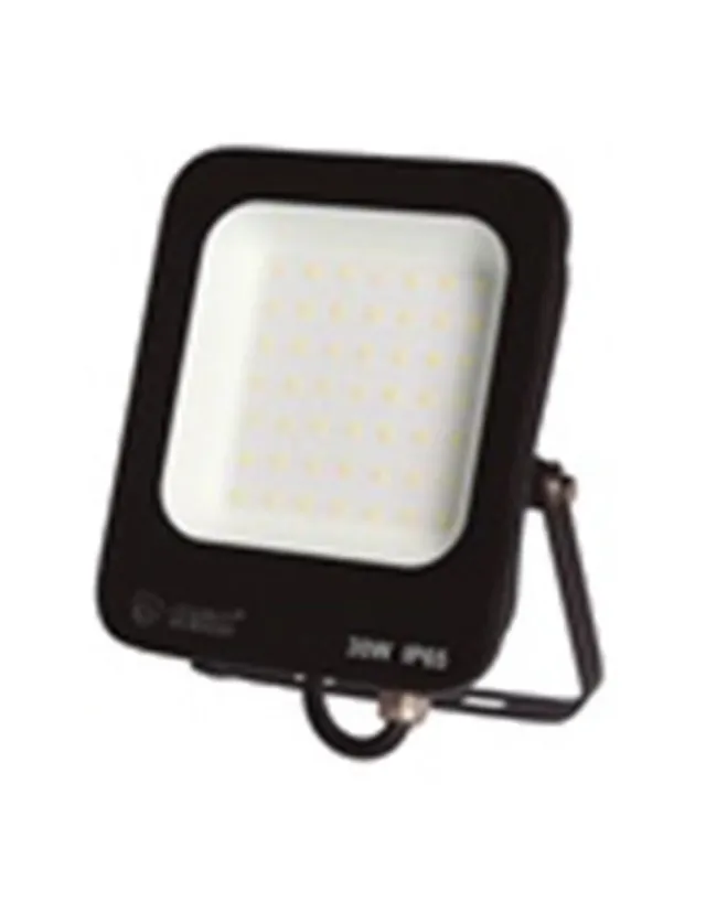 Foco proyector LED 30W 6000K IP65